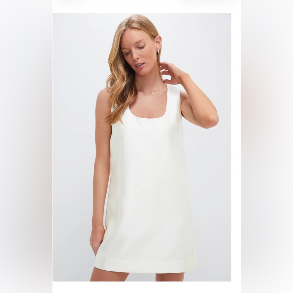 NWT Tuckernuck Dress - M